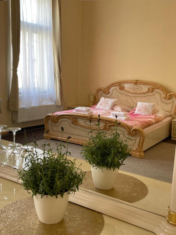 Apartmany Vila Tyniste Tyniste nad Orlici Dış mekan fotoğraf